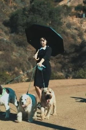 Adult Wednesday Addams