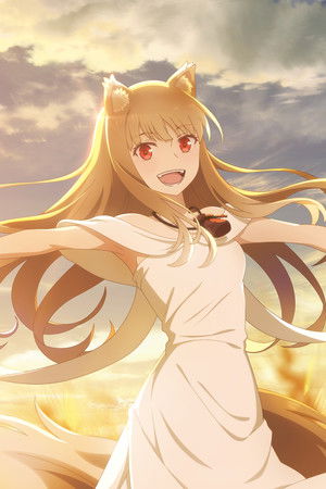 Spice and Wolf: MERCHANT MEETS THE WISE WOLF