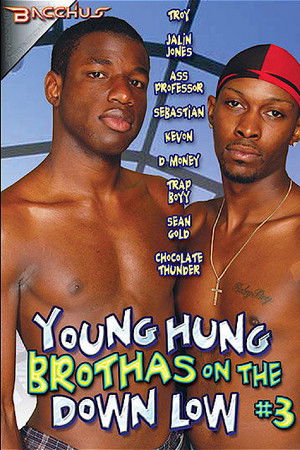 Young Hung Brothas on the Down Low 3