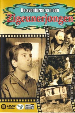 Avonturen Van Een Zigeunerjongen