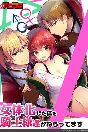 女体化した僕を騎士様達がねらってます