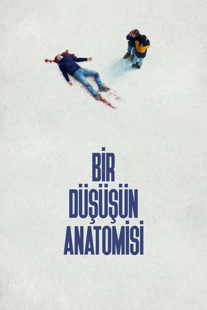 Bir Düşüşün Anatomisi