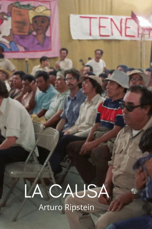 La causa (Tres preguntas a Chávez)