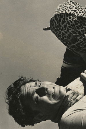 Terry and the Pirates