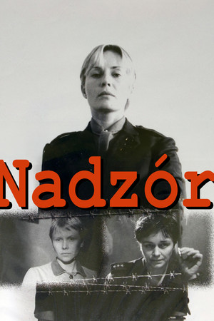 Nadzór
