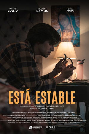 Está Estable