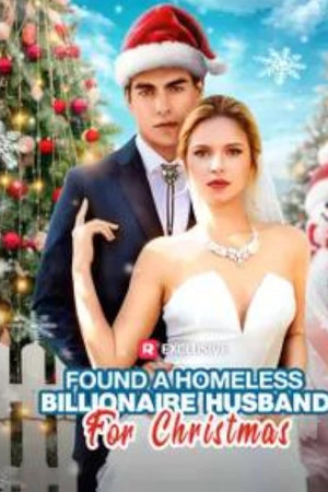 Found a Homeless Billionaire Husband for Christmas