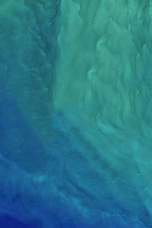 The Earthshot Prize: Repairing Our Planet