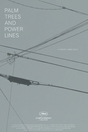 Palm Trees and Power Lines