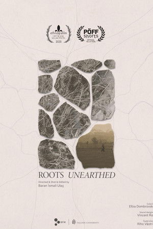 Kökleri Dışarıda