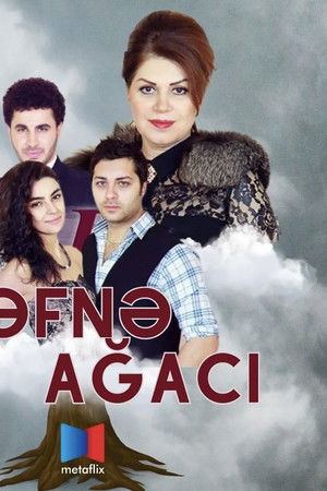 Dəfnə ağacı