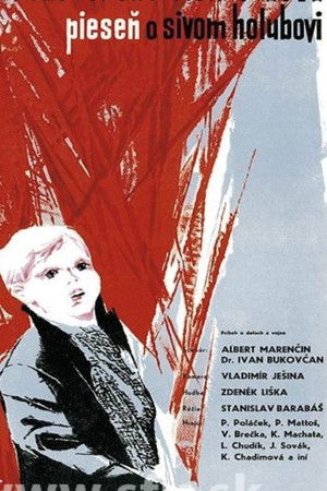 Pieseň o sivom holubovi