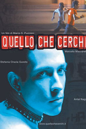 Quello che cerchi