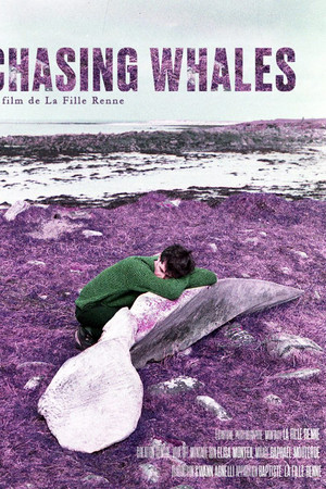 Chasing Whales