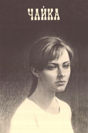 Чайка