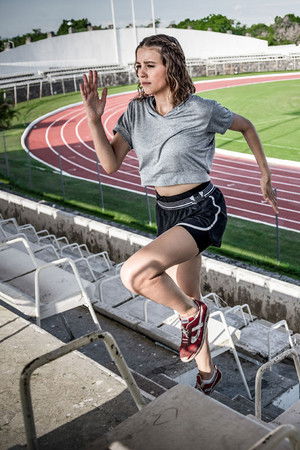 El Vuelo de la Victoria