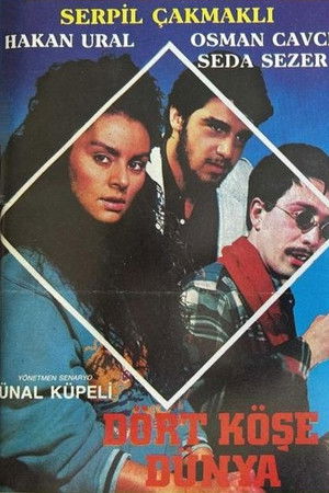 Dört Köşe Dünya