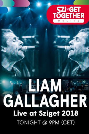 Liam Gallagher au Sziget Festival