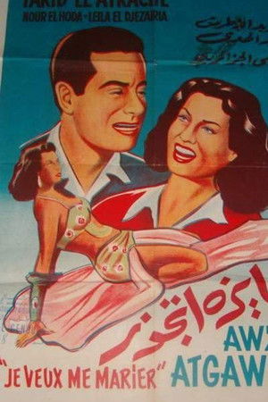 عايزة أتجوز