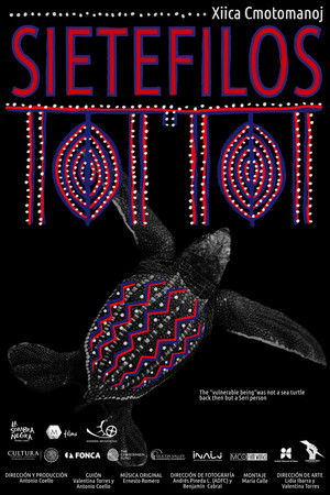 Sietefilos