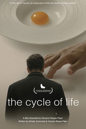 The Cycle of Life