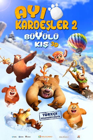 Ayı Kardeşler: Büyülü Kış