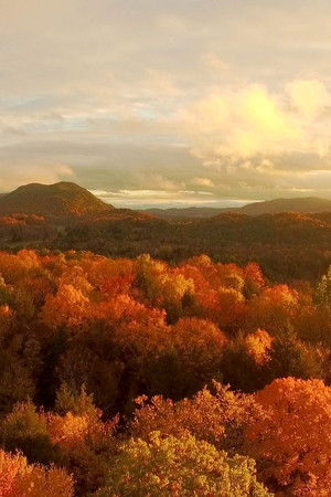 America's Wild Seasons