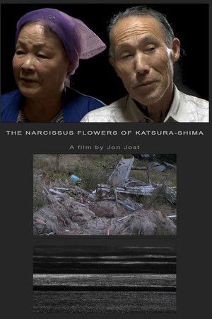 The Narcissus Flowers of Katsura-shima