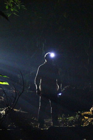 The Dark: Nature's Nighttime World