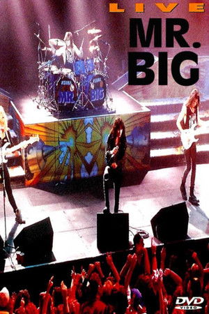 Mr. Big: Live