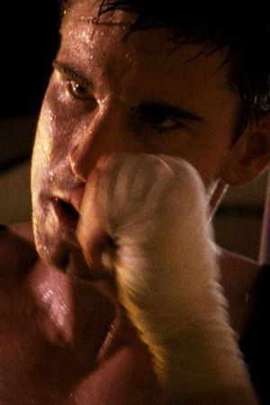 Koning van de Wereld