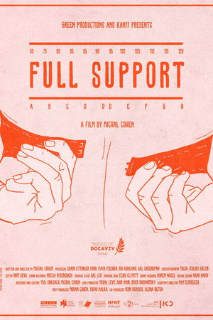 תמיכה מלאה