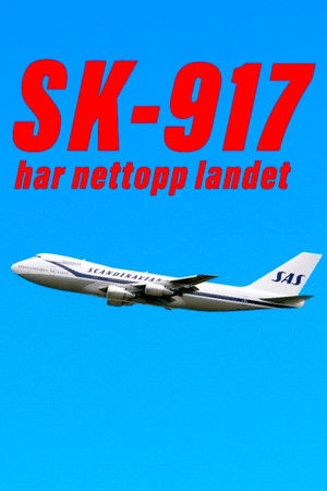 SK 917 har nettopp landet