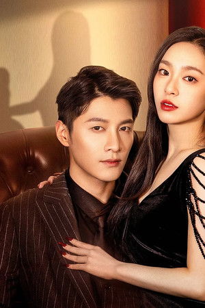 情深不悔，再爱难为