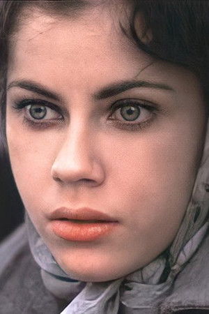 Murder in the Heartland