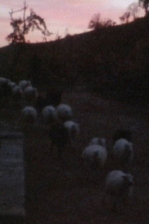 Falamos de Rio de Onor