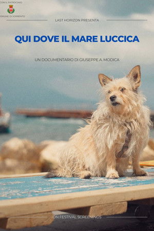 Here where the sea shines