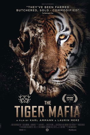 The Tiger Mafia