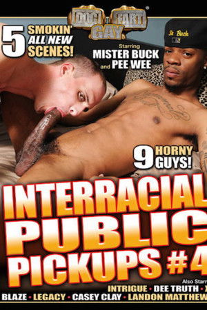 Interracial Public Pickups 4