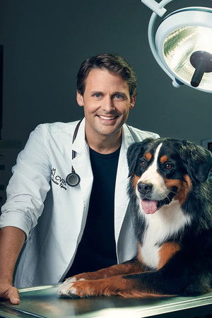 Dr Sébastien, vétérinaire