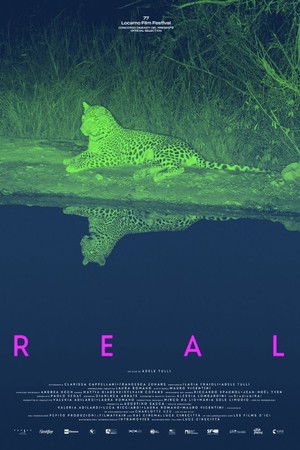 Real