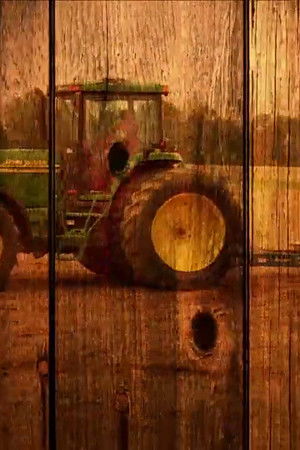 Maryland Farm & Harvest