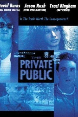 The Private Public
