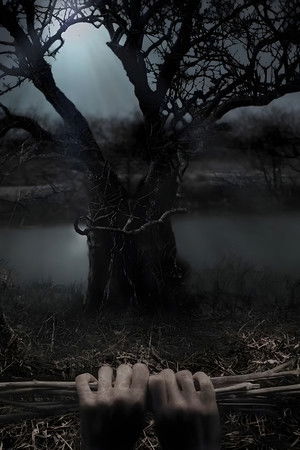 Stephen King's Kingdom Hospital