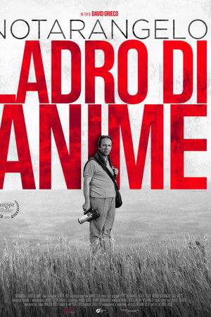 Notarangelo ladro di anime