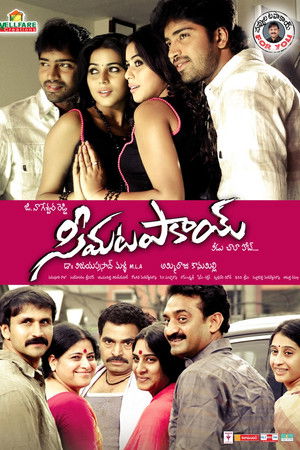 సీమ టపాకాయ్