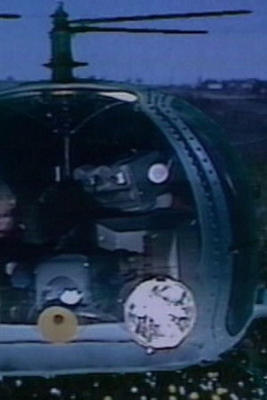 Robbi, Tobbi und das Fliewatüüt