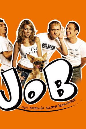 Job, czyli ostatnia szara komórka