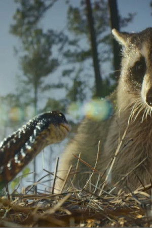 Nightmares of Nature