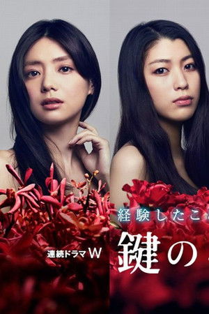 鍵のない夢を見る